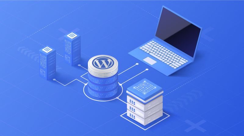 Basic WordPress Hosting